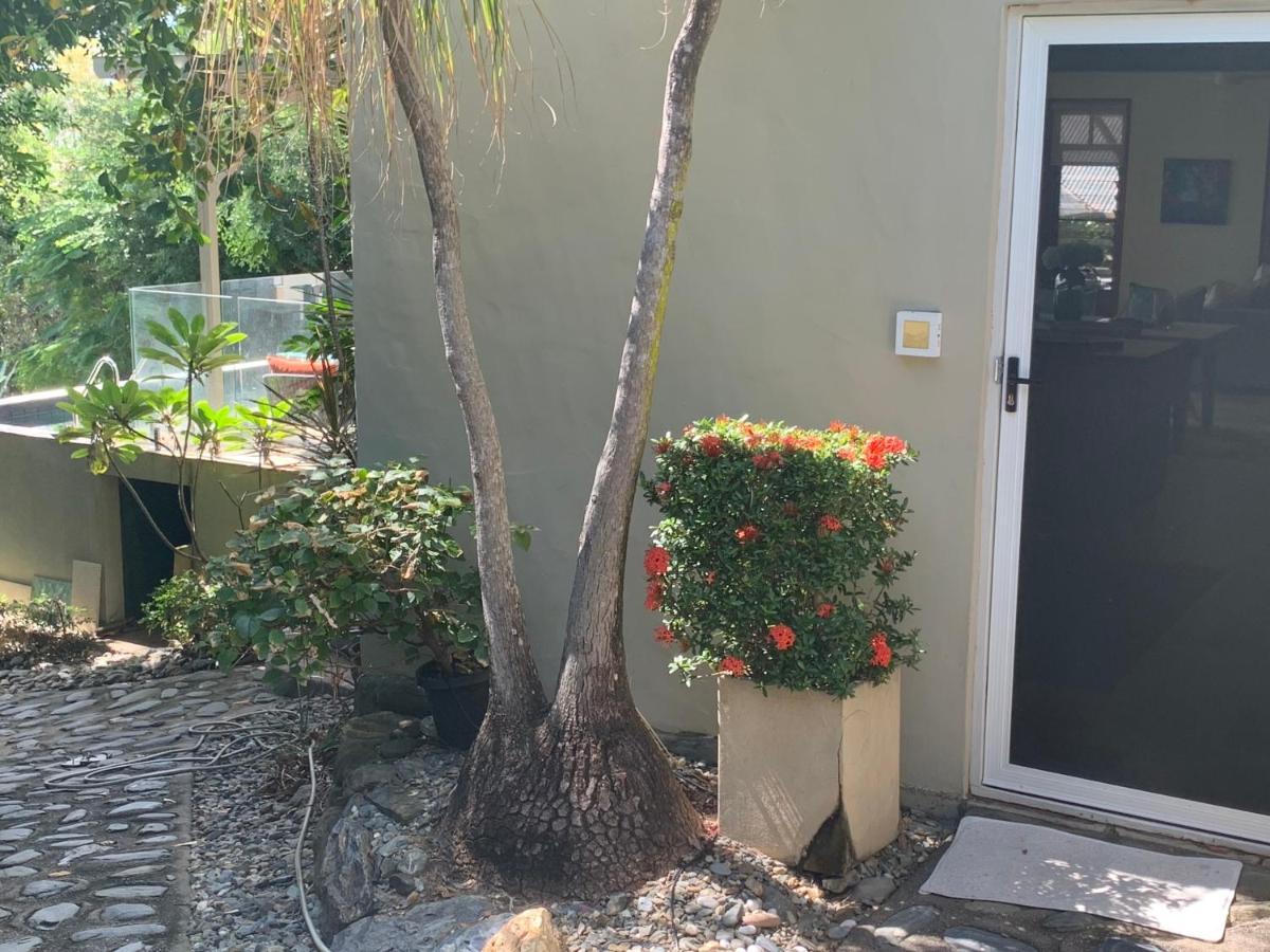Beachfront Dolphin Cabin Oak Beach Exterior foto